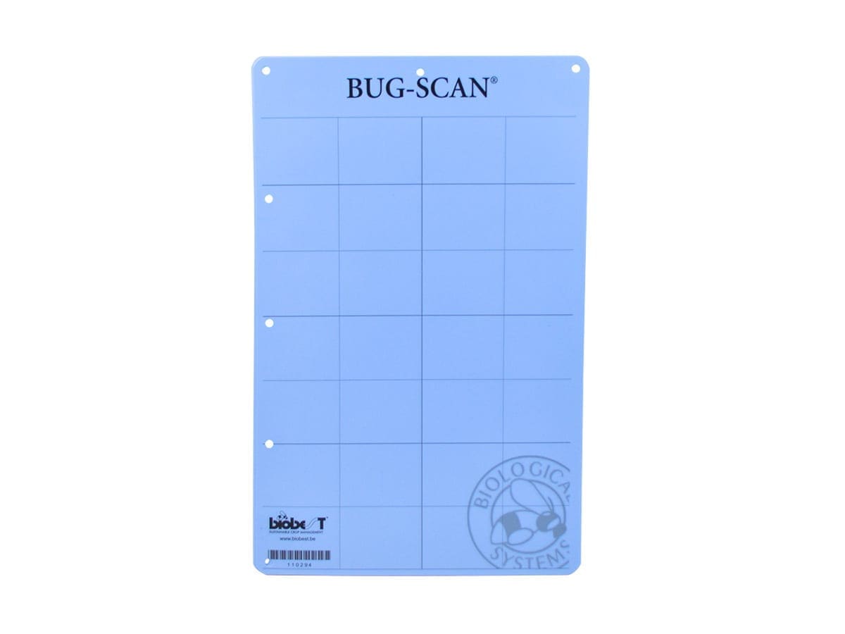 Bug Player Scan 7 Vf Bug Scan Trap Blue 25 x 40cm (pack of 20) | Bugs For Bugs