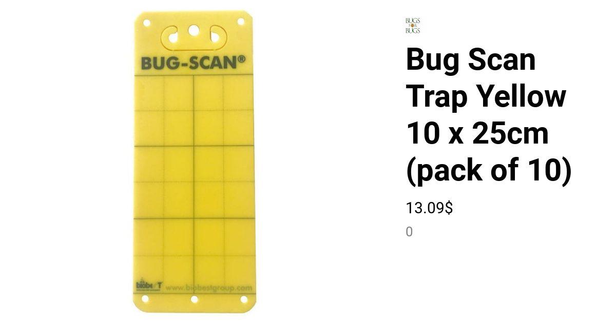 Bug Scan Trap Yellow 10 x 25cm (pack of 10) | Bugs For Bugs