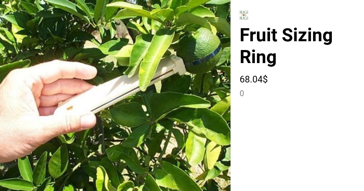 Fruit Sizing Ring | Bugs For Bugs