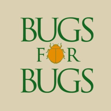 Bugs for bugs
